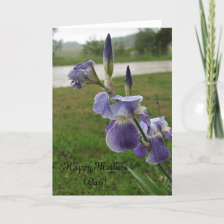 Mother's Day Iris Card