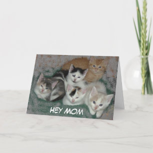 Mother's Day Kittens Card