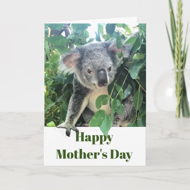 Mothers Day Koala Eucalyptus tree Photo Holiday Card (Front)