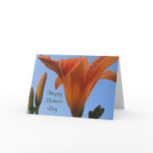 Mother's Day Lilies