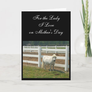 Mother's Day Love Miniature horse greeting card