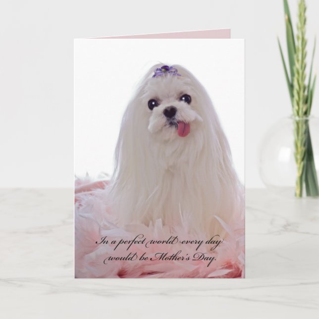 Mother's Day Maltese Dog Card (Front)