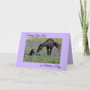 Mother's Day Mare & Foal Bluebell Pasture Photo Card