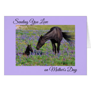 Mother's Day Mare & Foal Floral Pasture Photo Note