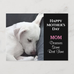 Mother's Day Photo of Cute White Dog Sleeping Postcard