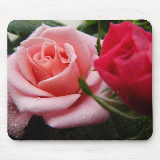 Mothers Day Pink and Red Rose Mouse Pad (Front)