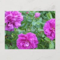 Mother's Day-Pink Flowers