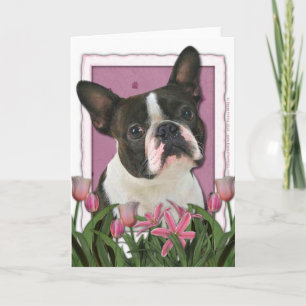Mothers Day - Pink Tulips - Boston Terrier Card