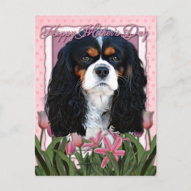 Mothers Day - Pink Tulips - Cavalier - Tri-Colour Postcard (Front)