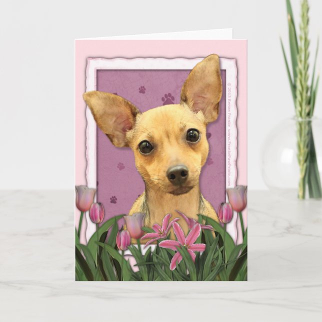 Mothers Day - Pink Tulips - Chihuahua Card (Front)