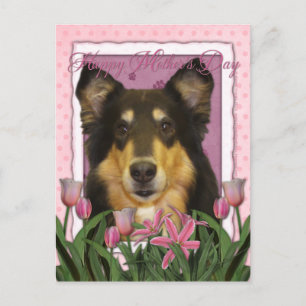 Mothers Day - Pink Tulips - Collie - Caroline Postcard
