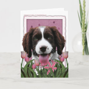 Mothers Day - Pink Tulips English Springer Spaniel Card