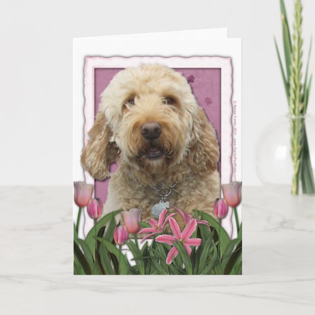 Mothers Day - Pink Tulips - GoldenDoodle Card (Front)