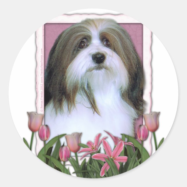 Mothers Day - Pink Tulips - Havanese Classic Round Sticker (Front)