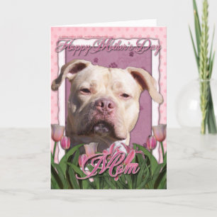 Mothers Day - Pink Tulips - Pitbull - Jersey Girl Card