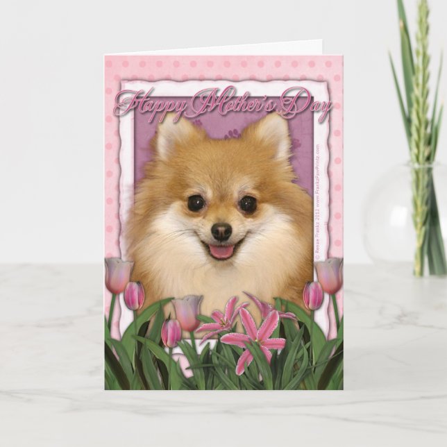Mothers Day - Pink Tulips - Pomeranian Card (Front)