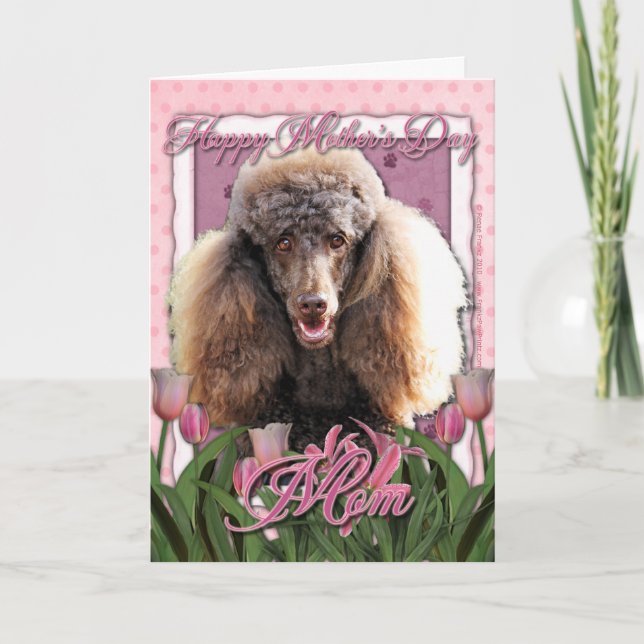 Mothers Day - Pink Tulips - Poodle - Chocolate Card (Front)