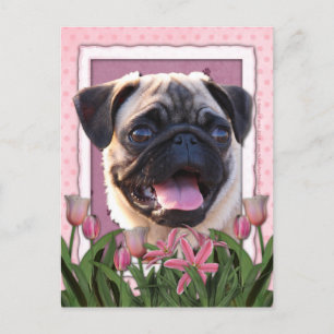 Mothers Day - Pink Tulips - Pug Postcard