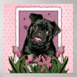 Mothers Day - Pink Tulips - Pug - Ruffy Poster