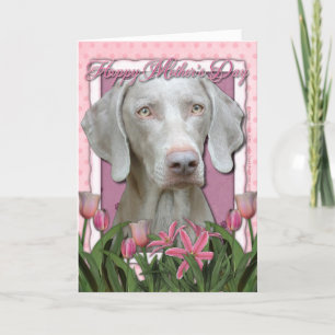 Mothers Day - Pink Tulips - Weimaraner - Gold Eyes Card
