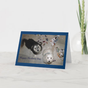 Mother's Day puppy card