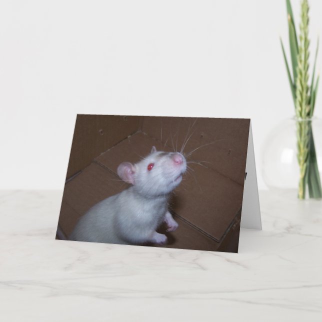 Mothers Day Rat Card (Front)