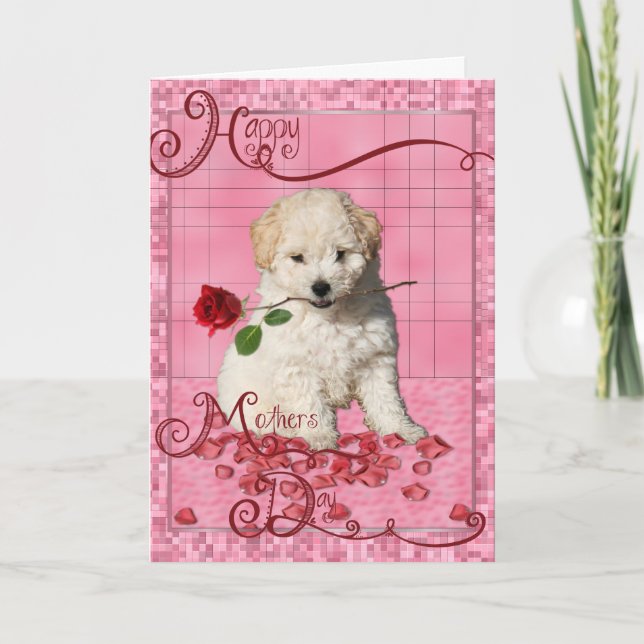 Mothers Day - Red Rose - Bichon Frise Puppy Card (Front)