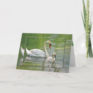 Mother's Day swans Card