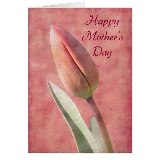 Mother's Day Tulip (Front)