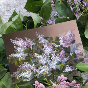 Mother's Day Vintage Lilacs Card