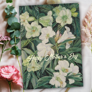 Mothers Day White Floral Holiday Card