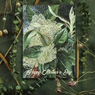 Mothers Day White Floral Holiday Card