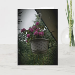 "Mother's Geraniums" Get Well Card