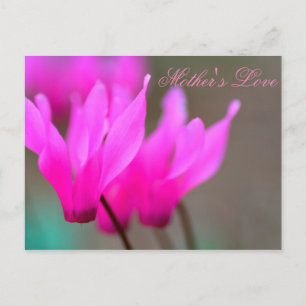 Mother's Love 2 Postcard