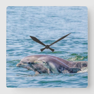 Mother's Love Dolphin & Baby Clock