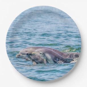 Mother's Love Dolphin & Baby Paper Plates