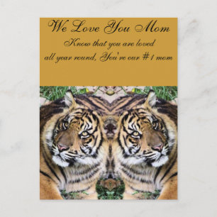 Mother's Love_ Postcard