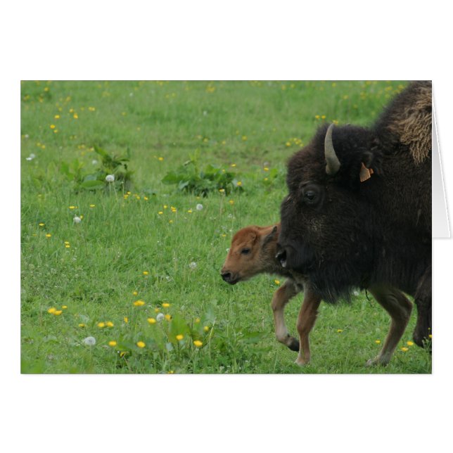 mother's protection (Front Horizontal)
