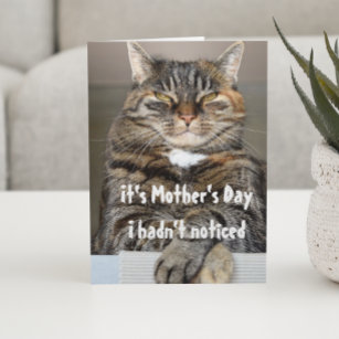 Mothers' s Day From Cat Funny Cute Card