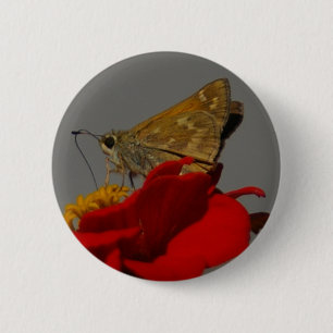Moths and Red Zinnia 6 Cm Round Badge