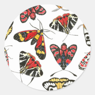Moths Classic Round Sticker