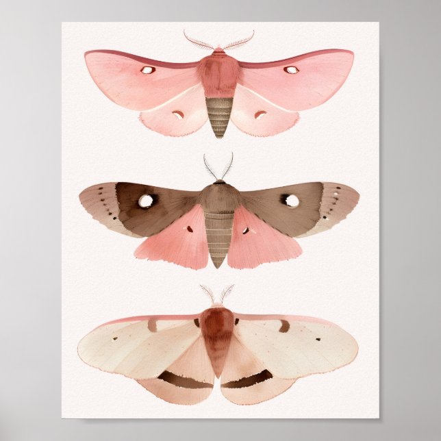 Moths for Good Fortune  Poster (Front)