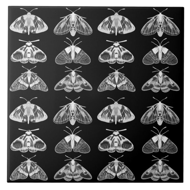 Moths in Black, White and Grey  Ceramic Tile (Front)