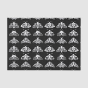 Moths in Black, White and Grey  Tissue Paper