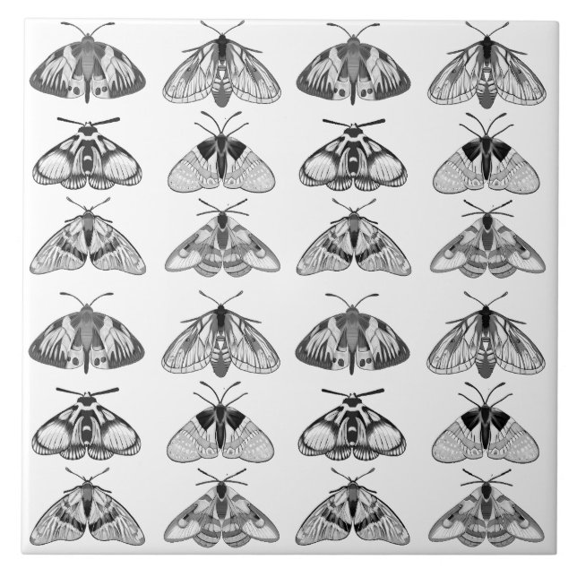Moths in Grey, Black and White  Ceramic Tile (Front)