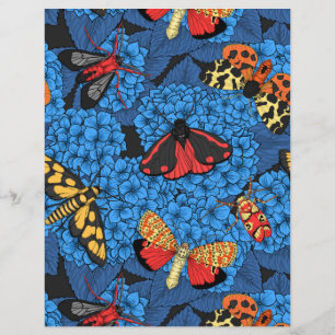 Moths on blue hydrangea