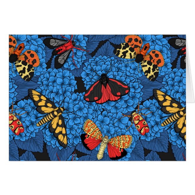 Moths on blue hydrangea (Front Horizontal)