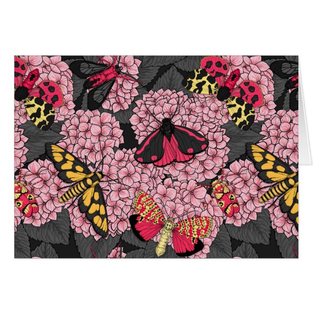 Moths on pink hydrangea (Front Horizontal)