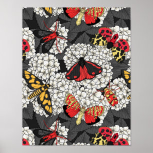 Moths on white hydrangea poster