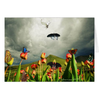 Moths & Tulips